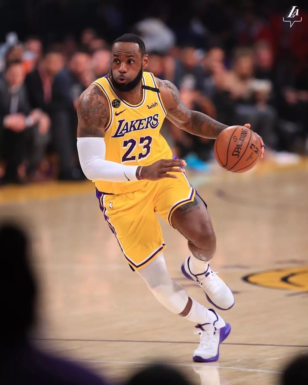 勇士侧翼的 勇士侧翼的