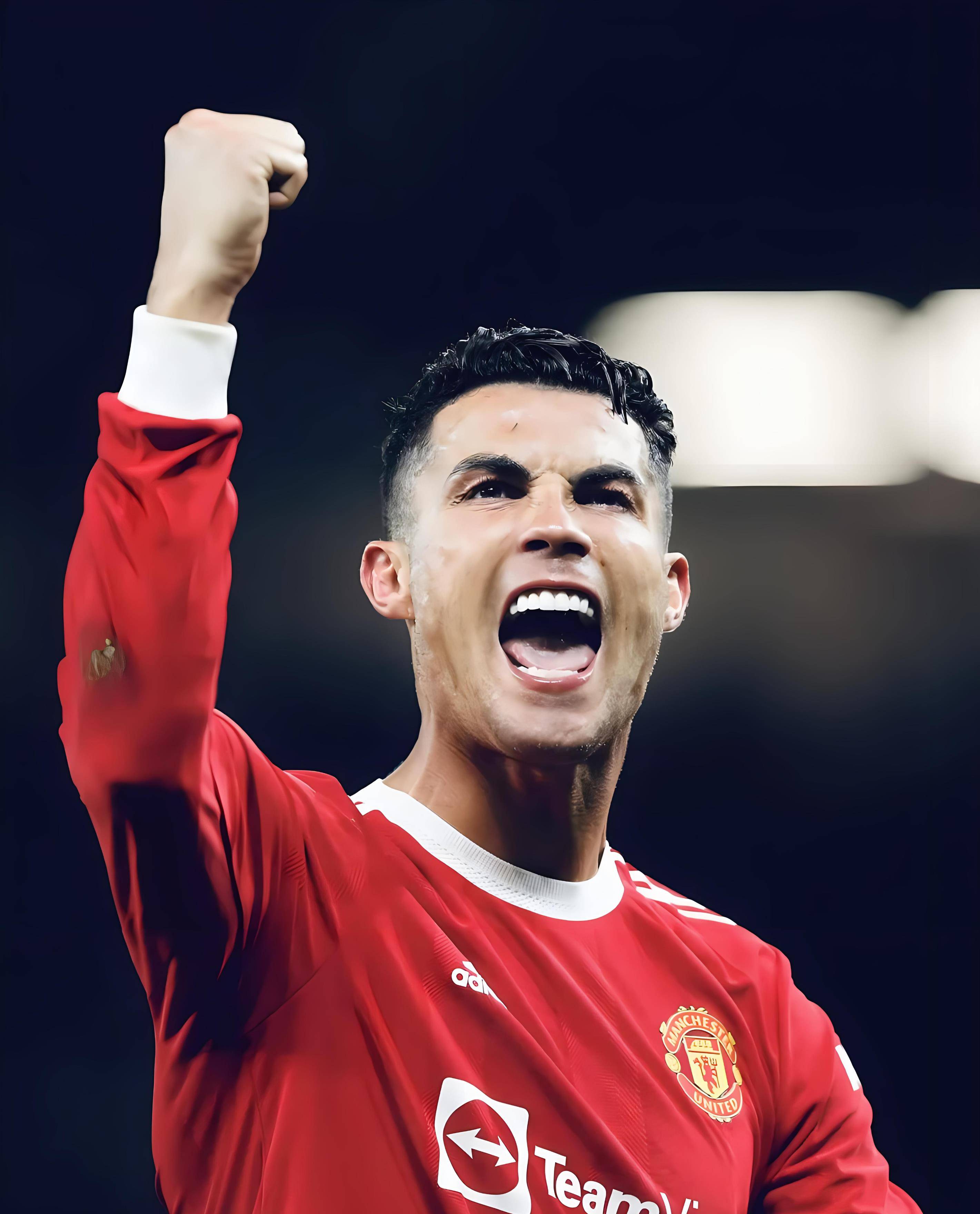 的对手梯度 的对手梯度